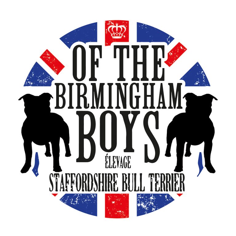 logo concours éleveurs of the birmingham boys